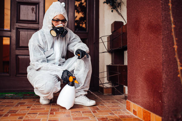 Reliable Cockroach Control contractor in Fanning Springs, FL by Nex Pest Control